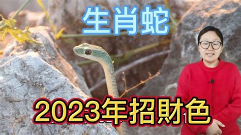 屬蛇今年幸運色|【蛇幸運色】2024年屬蛇必看！幸運關鍵色揭曉，把握好運勢！